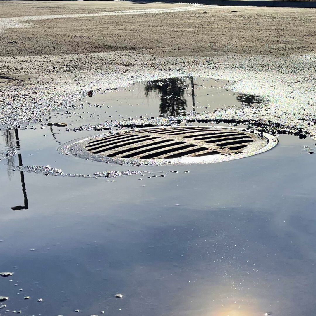 Close-up of a flooded catch basin with standing water in an Edmonton commercial asphalt parking lot.